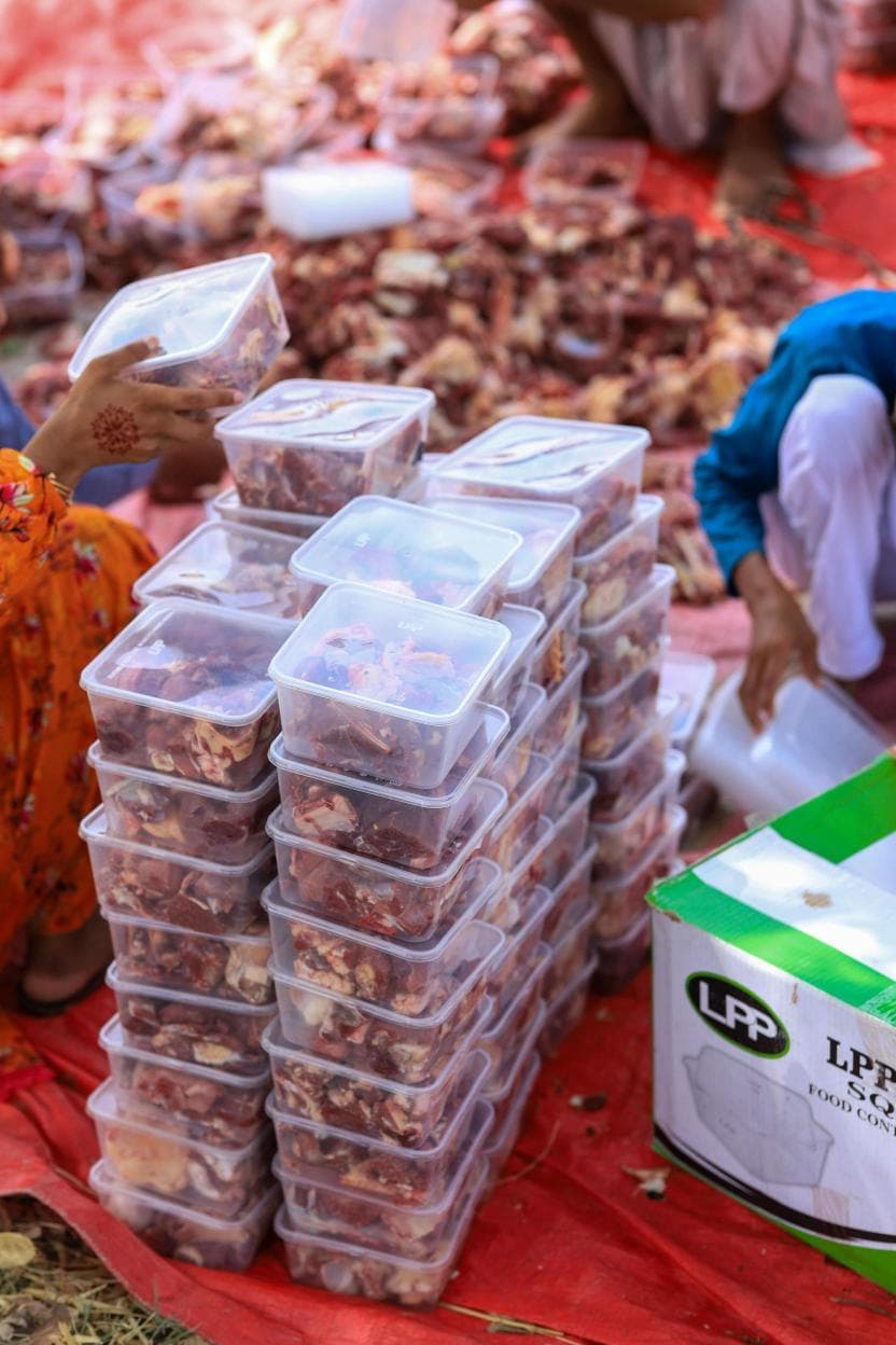Gallery image 3 for Collective Qurbani Project: Bringing Eid's Blessings to Those in Need